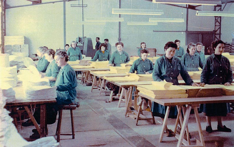 Atelier de comptage des feuilles en 1960