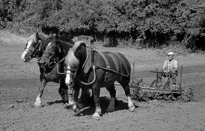 Arsène Daguenel, Bourniquel. © Photo Pierre Boitrel