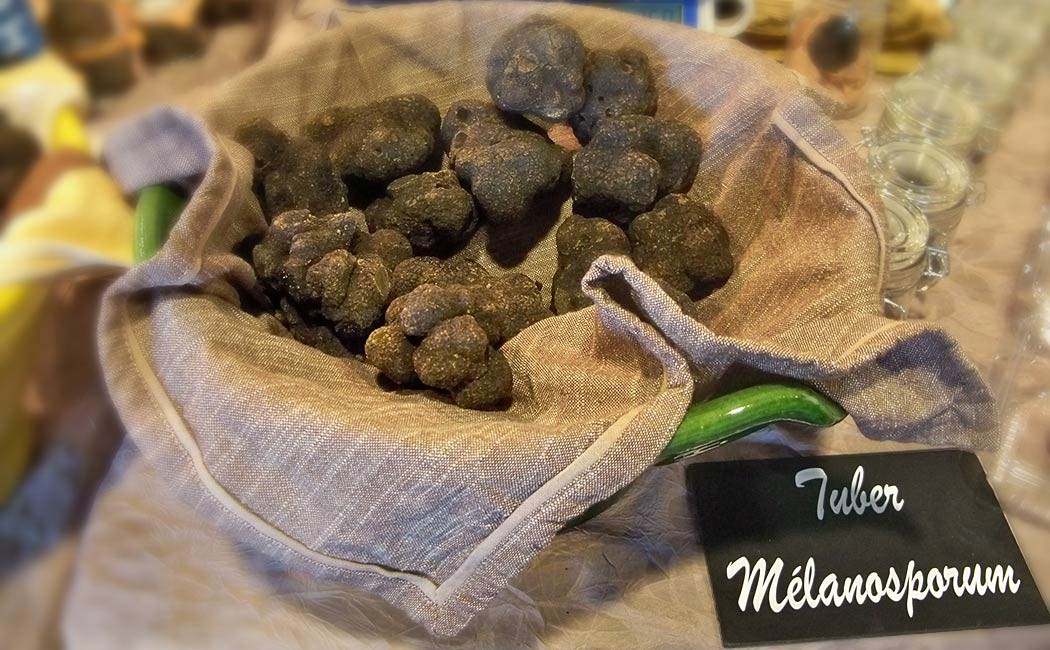 Panier-truffes-1050x650.jpg