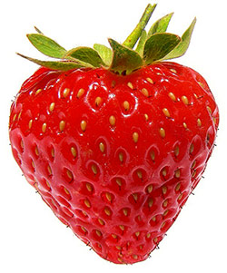 La fraise, le fruit du fraisier